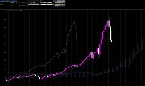 米国株S&P500チャートの魅力を最大限に活用しよう！